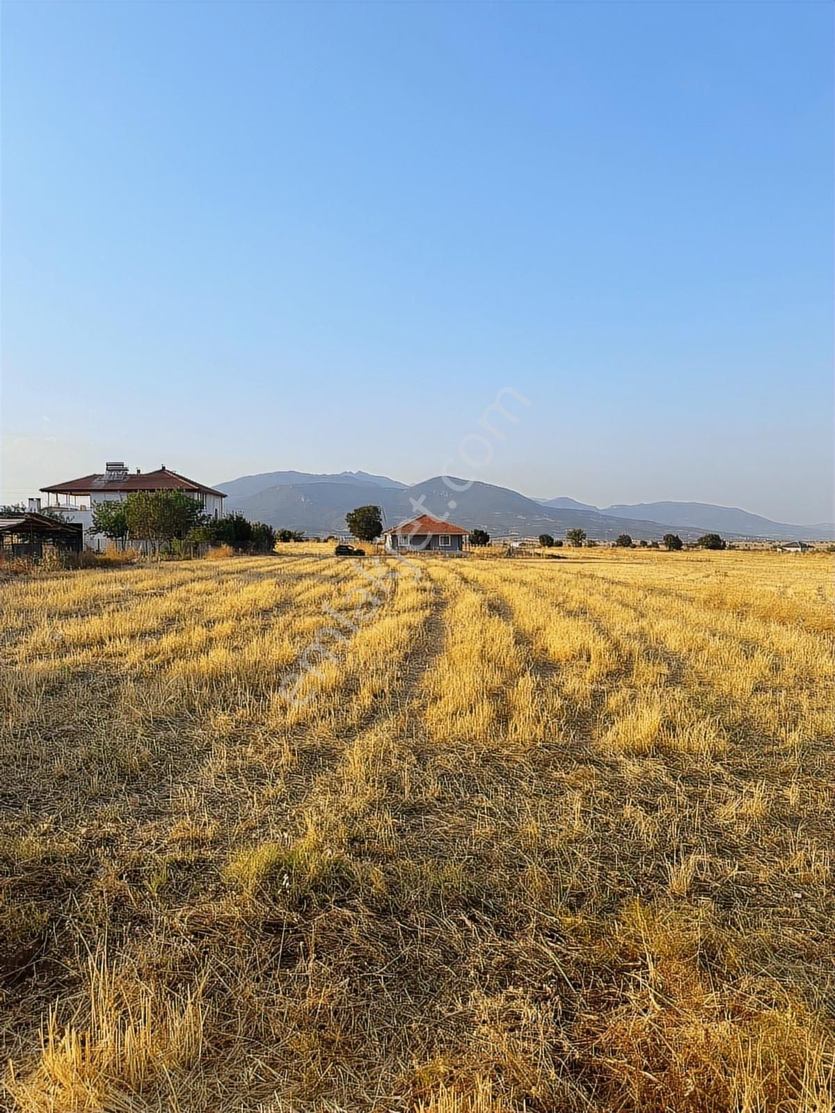 Korkuteli Çomaklıda Köy İçi Kaçırılmayacak Tarla - Görsel 19