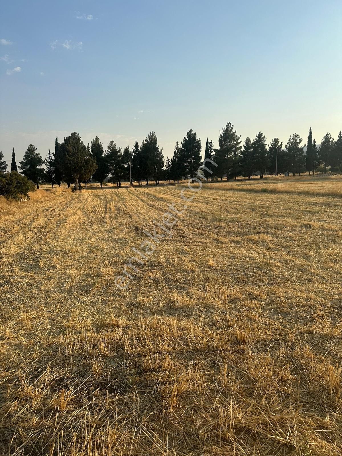 Korkuteli Çomaklıda Köy İçi Kaçırılmayacak Tarla - Görsel 20