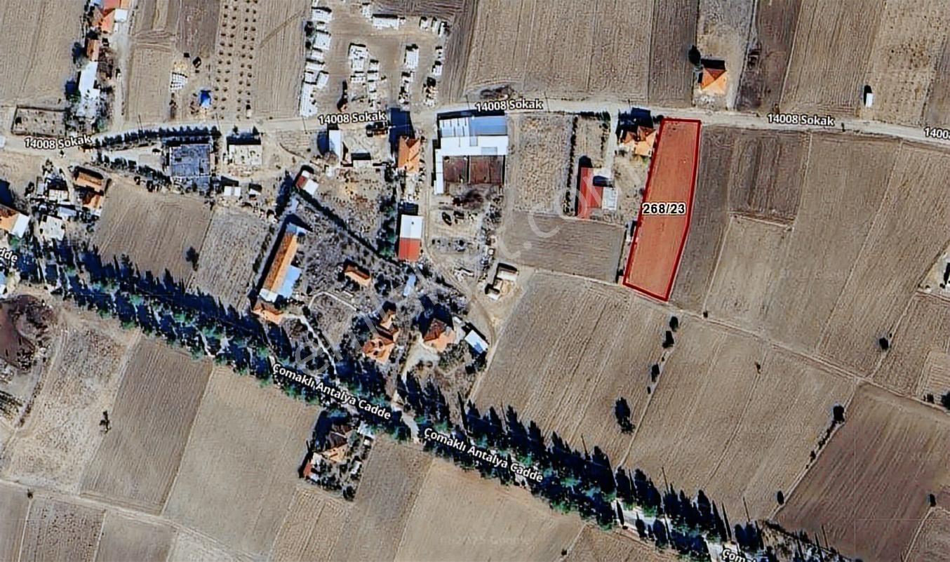 Korkuteli Çomaklıda Köy İçi Kaçırılmayacak Tarla - Görsel 2