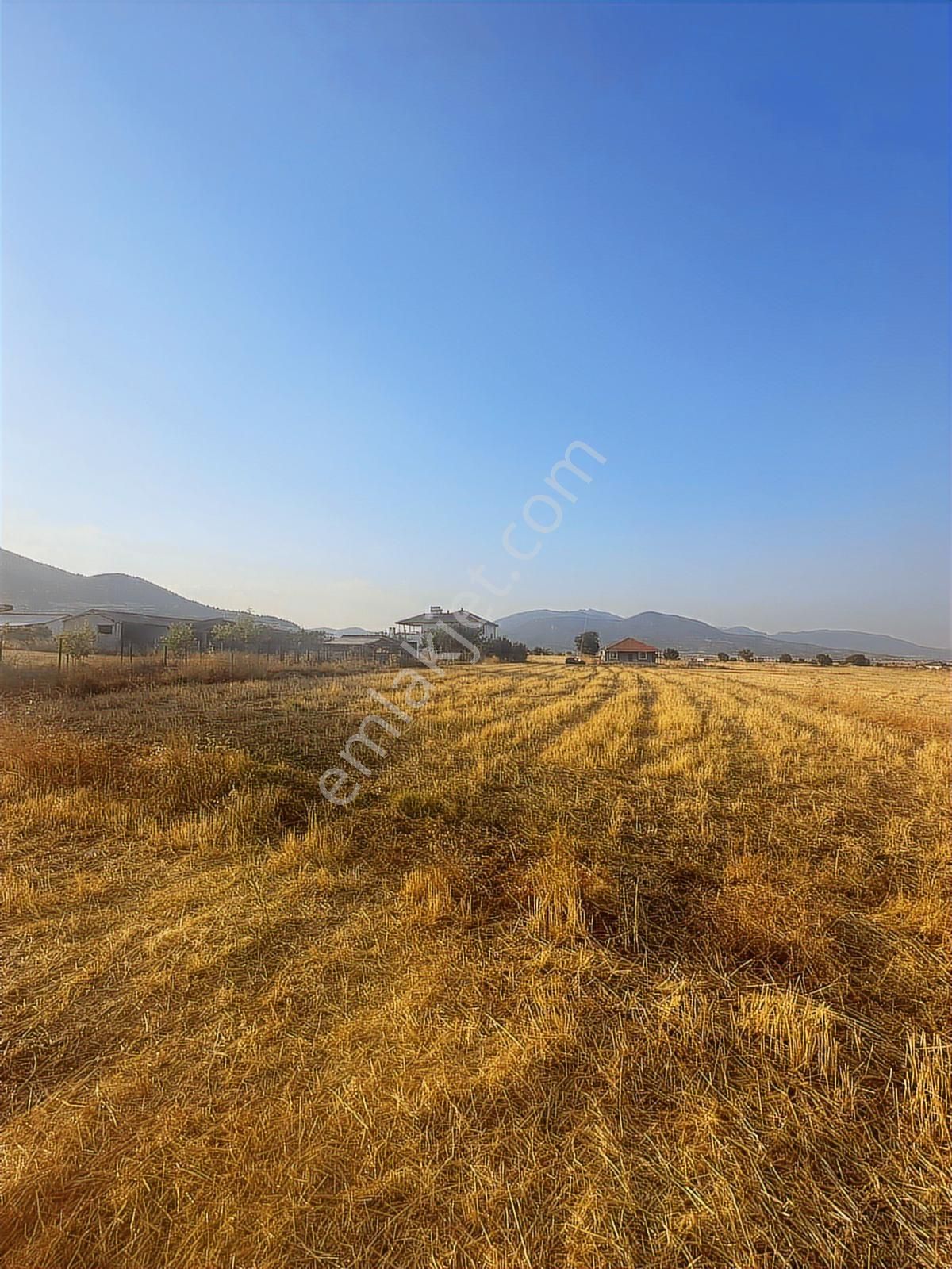 Korkuteli Çomaklıda Köy İçi Kaçırılmayacak Tarla - Görsel 7