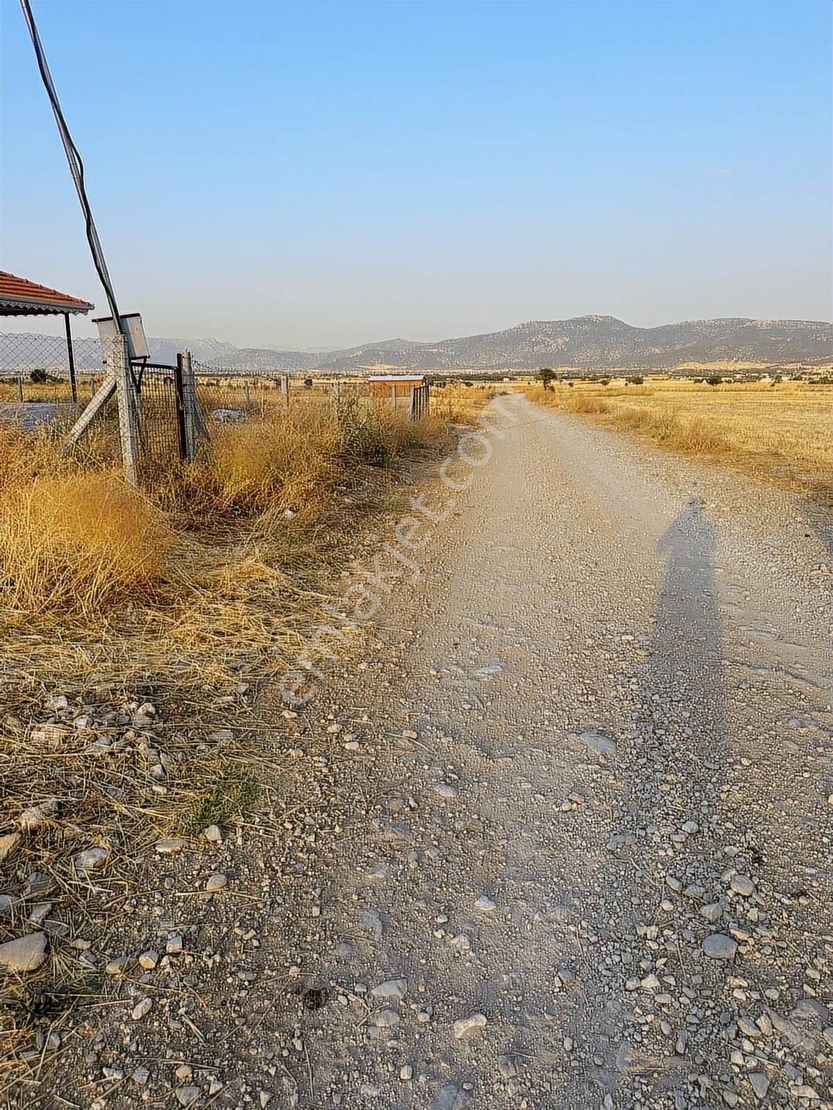 Korkuteli Çomaklıda Köy İçi Kaçırılmayacak Tarla - Görsel 8
