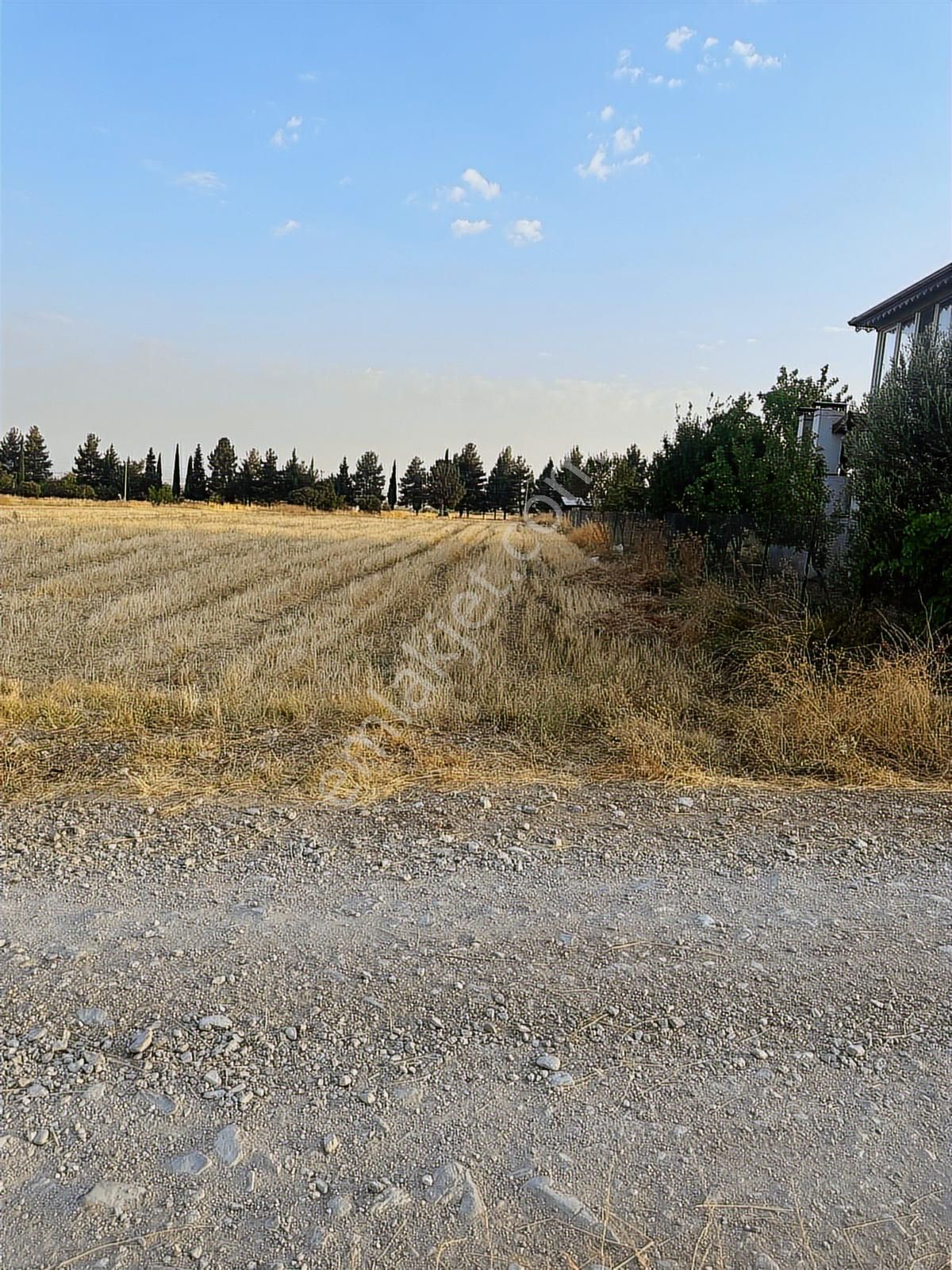 Korkuteli Çomaklıda Köy İçi Kaçırılmayacak Tarla - Görsel 10