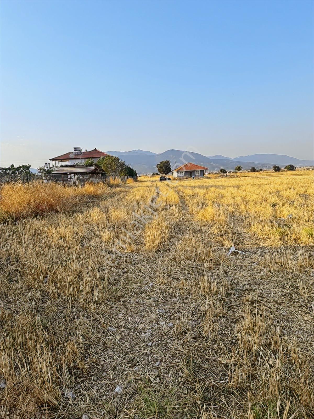 Korkuteli Çomaklıda Köy İçi Kaçırılmayacak Tarla - Görsel 6