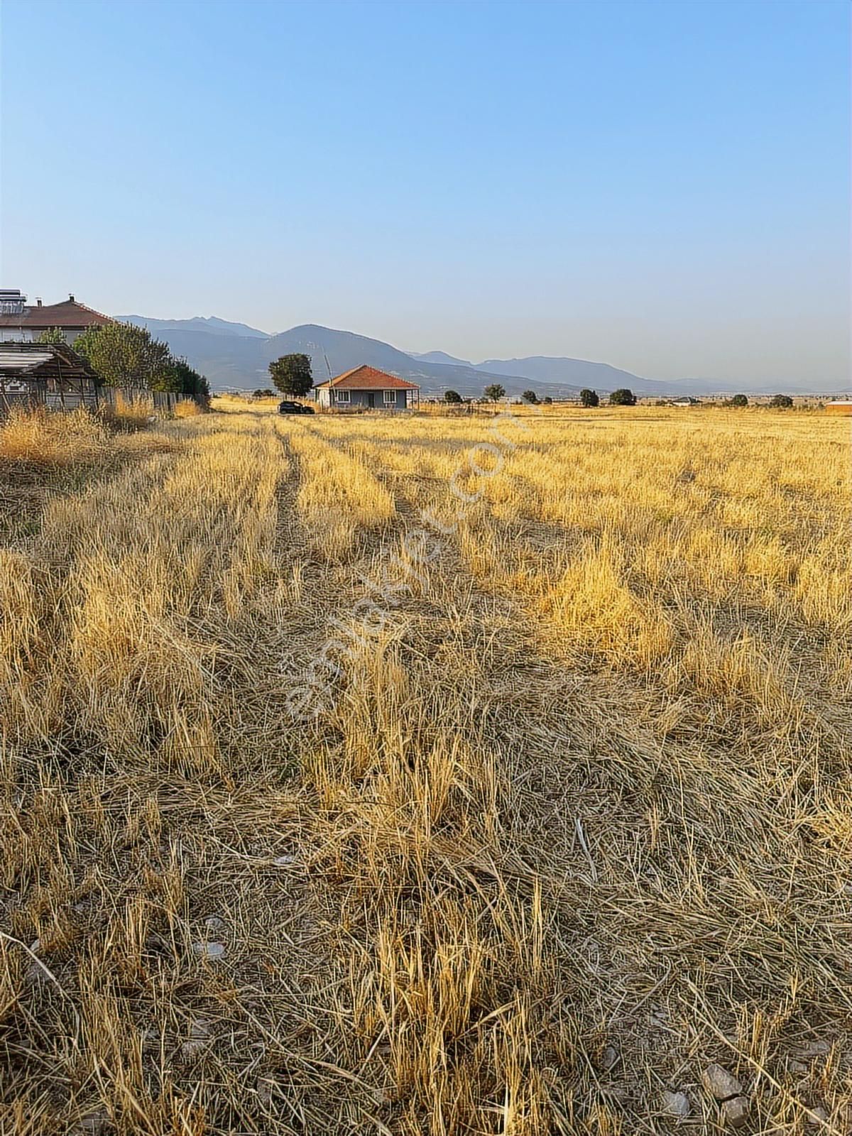 Korkuteli Çomaklıda Köy İçi Kaçırılmayacak Tarla - Görsel 15