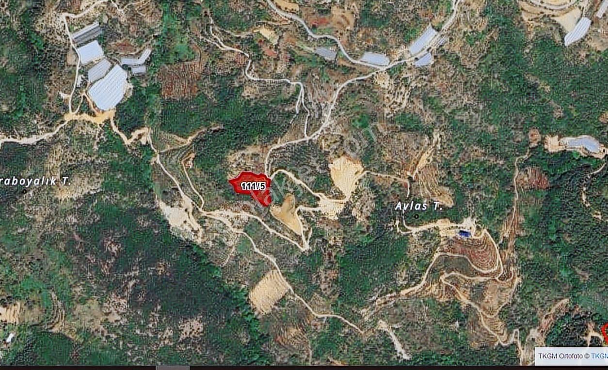 Alanya Yenice Köyünde 4.861 M2 Satılık Tarla - Görsel 4