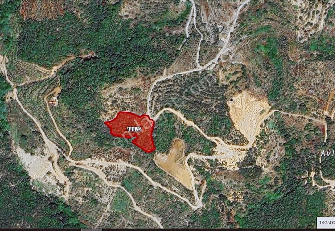 Alanya Yenice Köyünde 4.861 M2 Satılık Tarla - Görsel 3