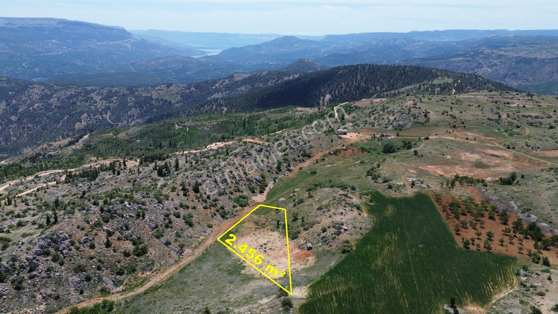 Karaman / Başyayla / Üzümlü Mahallesinde 2.456 M² Müstakil Tapulu Tarla - Görsel 5