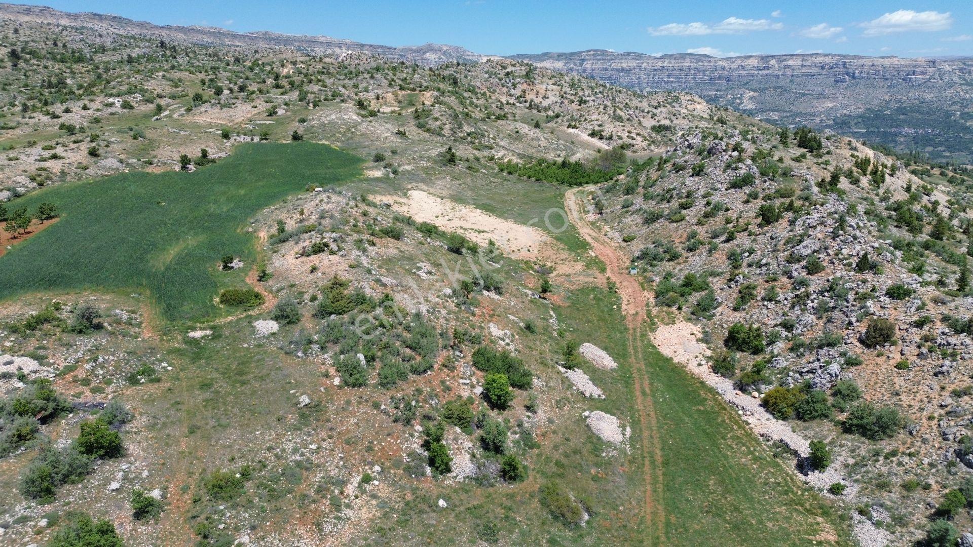 Karaman / Başyayla / Üzümlü Mahallesinde 2.456 M² Müstakil Tapulu Tarla - Görsel 2