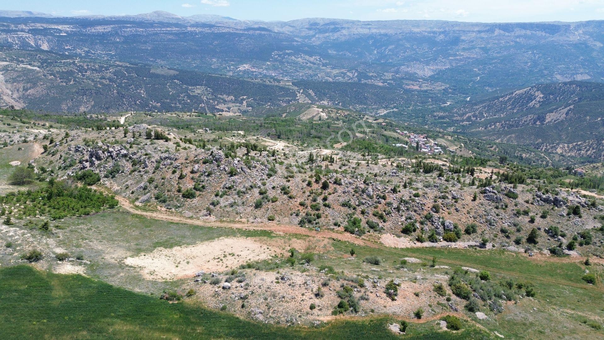 Karaman / Başyayla / Üzümlü Mahallesinde 2.456 M² Müstakil Tapulu Tarla - Görsel 7