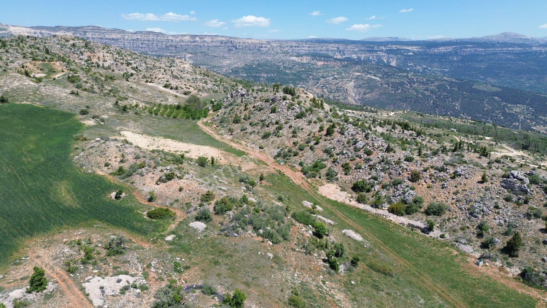Karaman / Başyayla / Üzümlü Mahallesinde 2.456 M² Müstakil Tapulu Tarla - Görsel 4