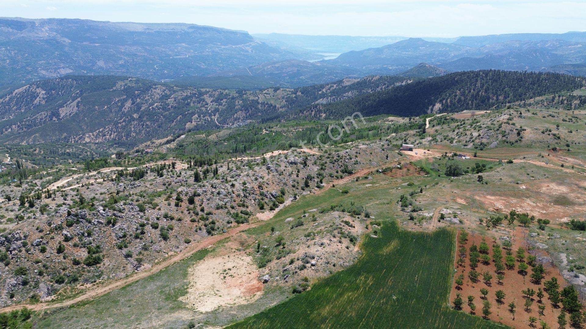 Karaman / Başyayla / Üzümlü Mahallesinde 2.456 M² Müstakil Tapulu Tarla - Görsel 6