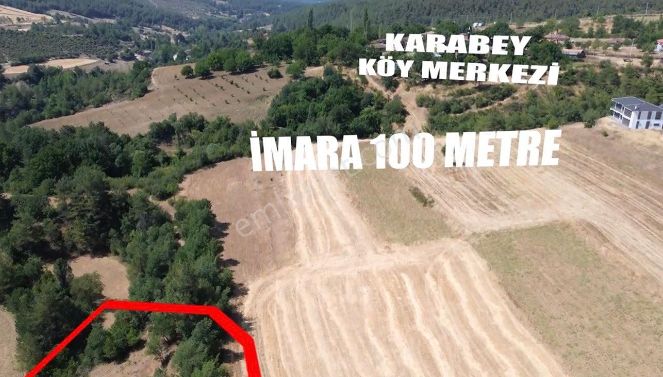 🏡 Sakarya Geyve Çamlık’ta 4.202 M² Yatırımlık Arsa – Yola Çok Yakın - Görsel 5