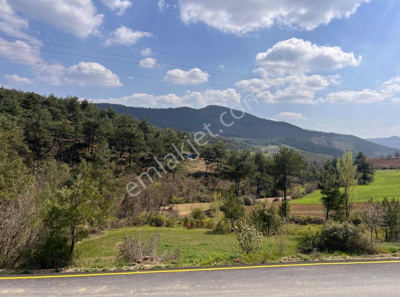 🏡 Sakarya Geyve Çamlık’ta 4.202 M² Yatırımlık Arsa – Yola Çok Yakın - Görsel 8