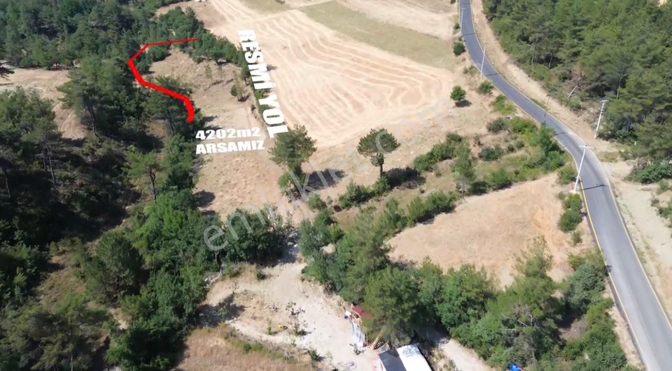 🏡 Sakarya Geyve Çamlık’ta 4.202 M² Yatırımlık Arsa – Yola Çok Yakın - Görsel 4