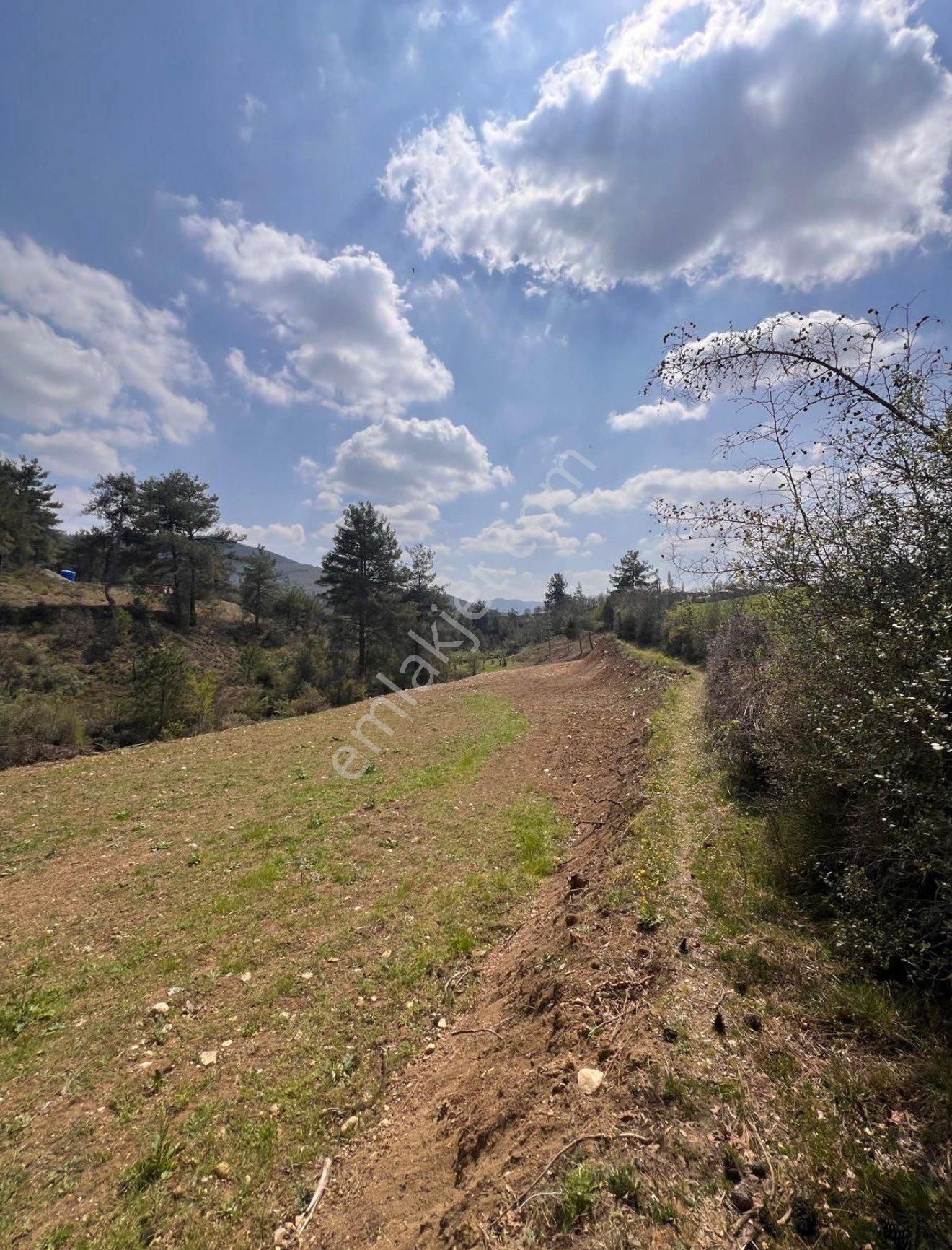 🏡 Sakarya Geyve Çamlık’ta 4.202 M² Yatırımlık Arsa – Yola Çok Yakın