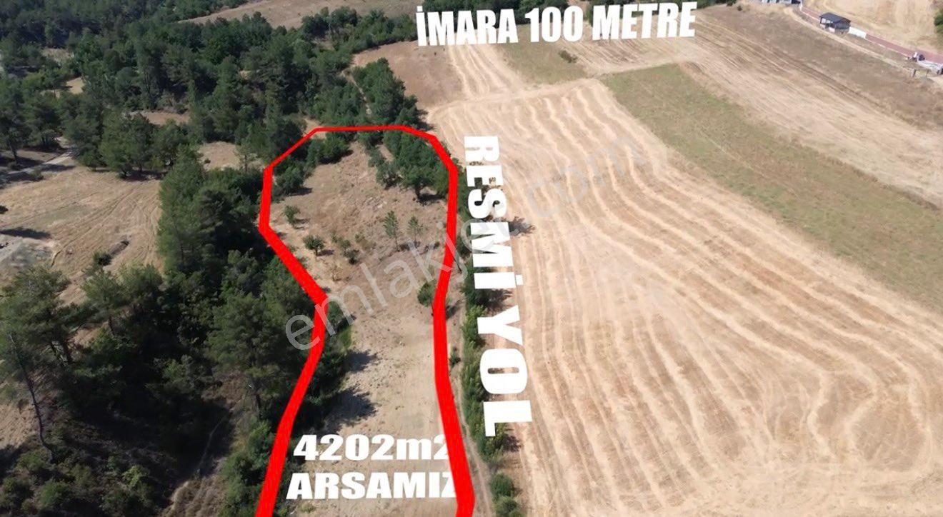 🏡 Sakarya Geyve Çamlık’ta 4.202 M² Yatırımlık Arsa – Yola Çok Yakın - Görsel 2