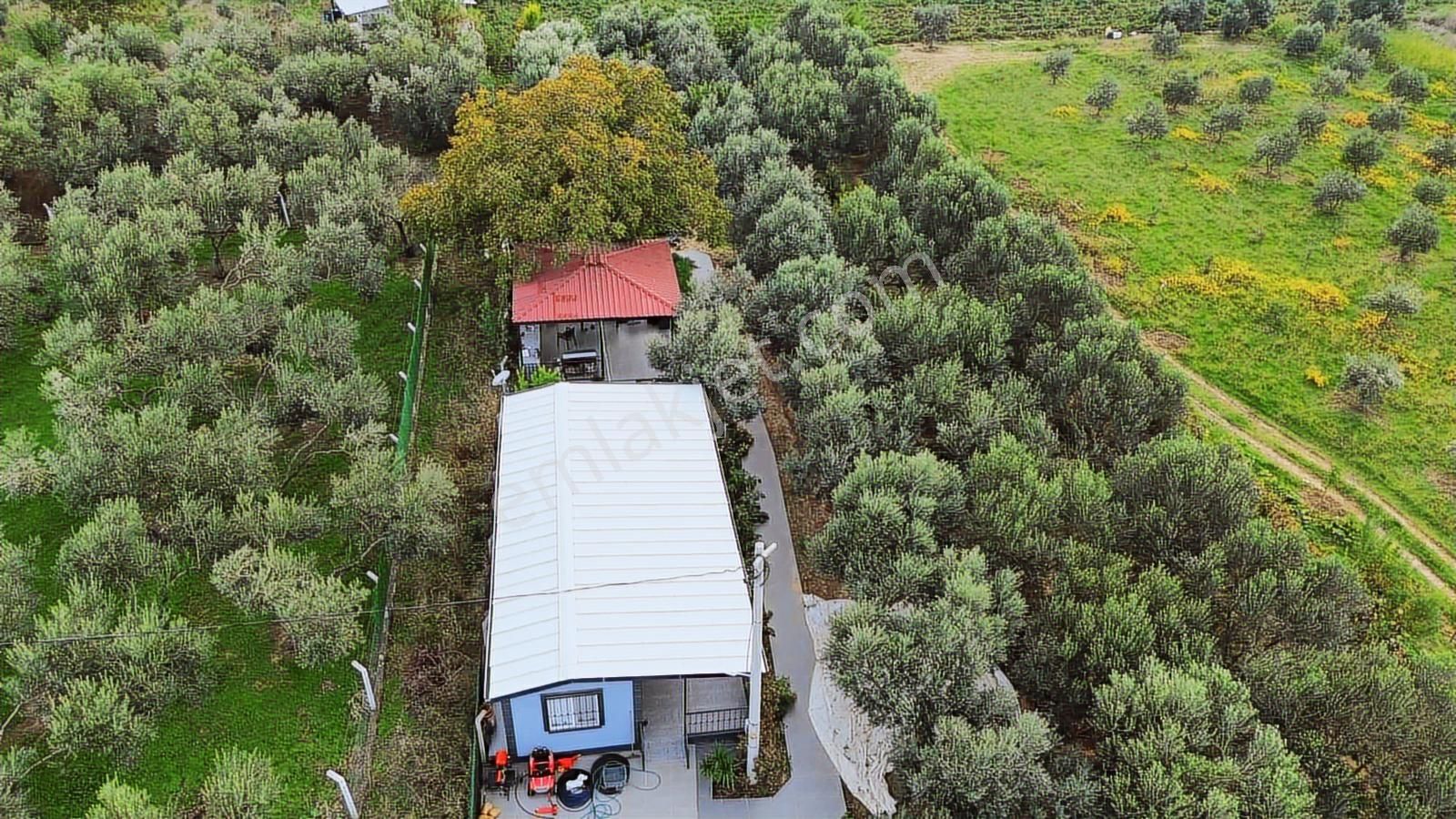 Kemalpaşa Aşağı Kızılca Ana Yola Yakın 1586m2 Bahçe - Görsel 15