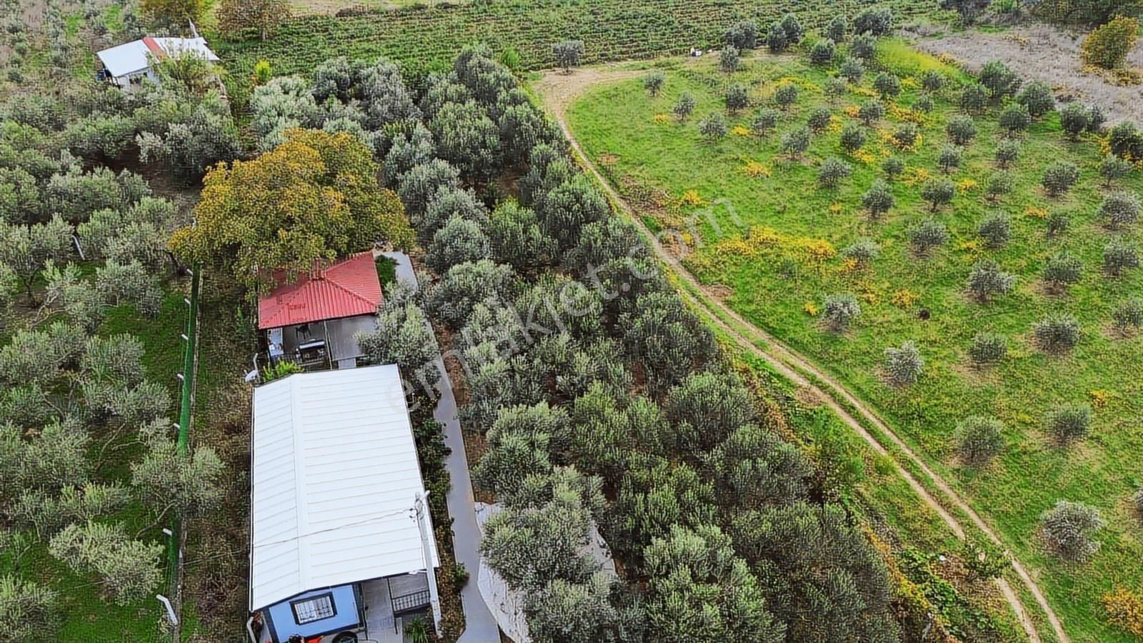 Kemalpaşa Aşağı Kızılca Ana Yola Yakın 1586m2 Bahçe - Görsel 16