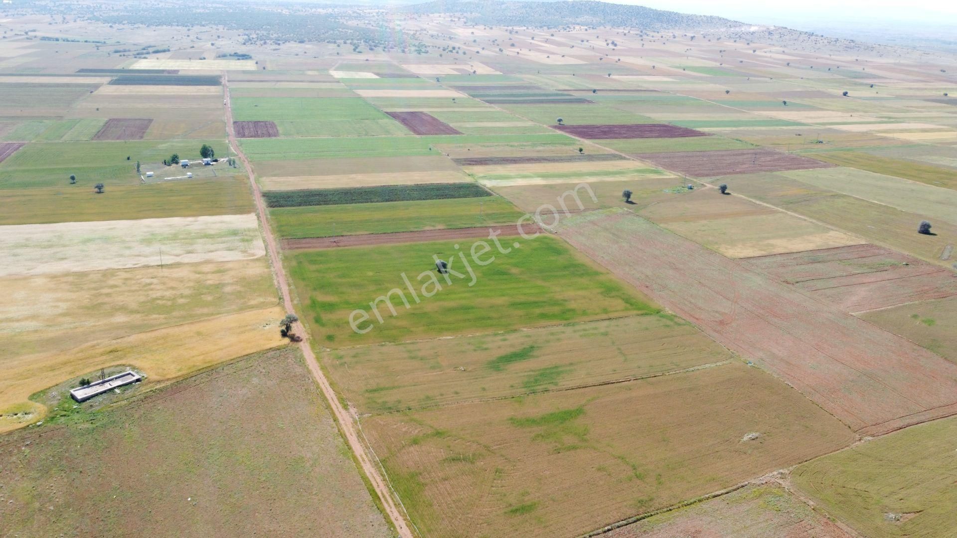 Konya / Akören / Hacılar Mahallesinde 5.402 M² Müstakil Tapulu Tarla - Görsel 2