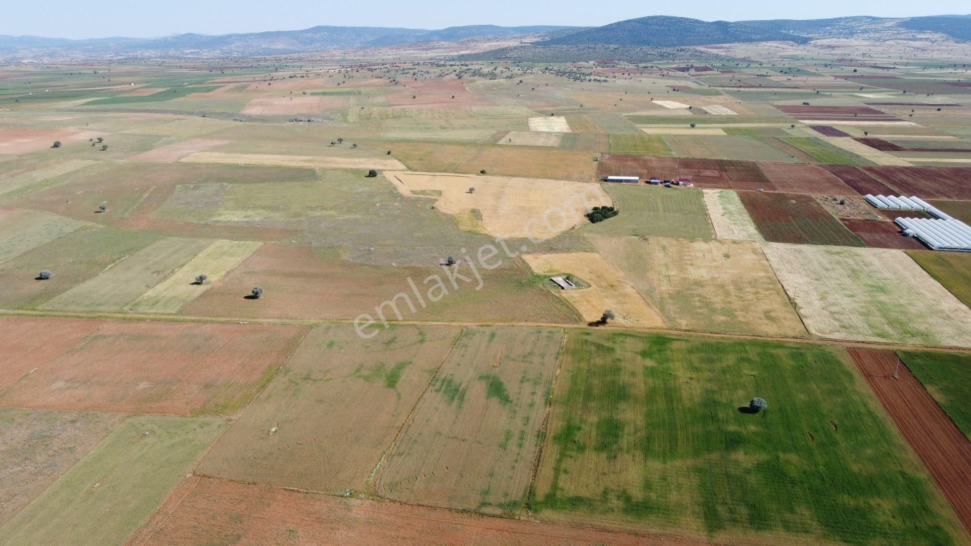 Konya / Akören / Hacılar Mahallesinde 5.402 M² Müstakil Tapulu Tarla - Görsel 4