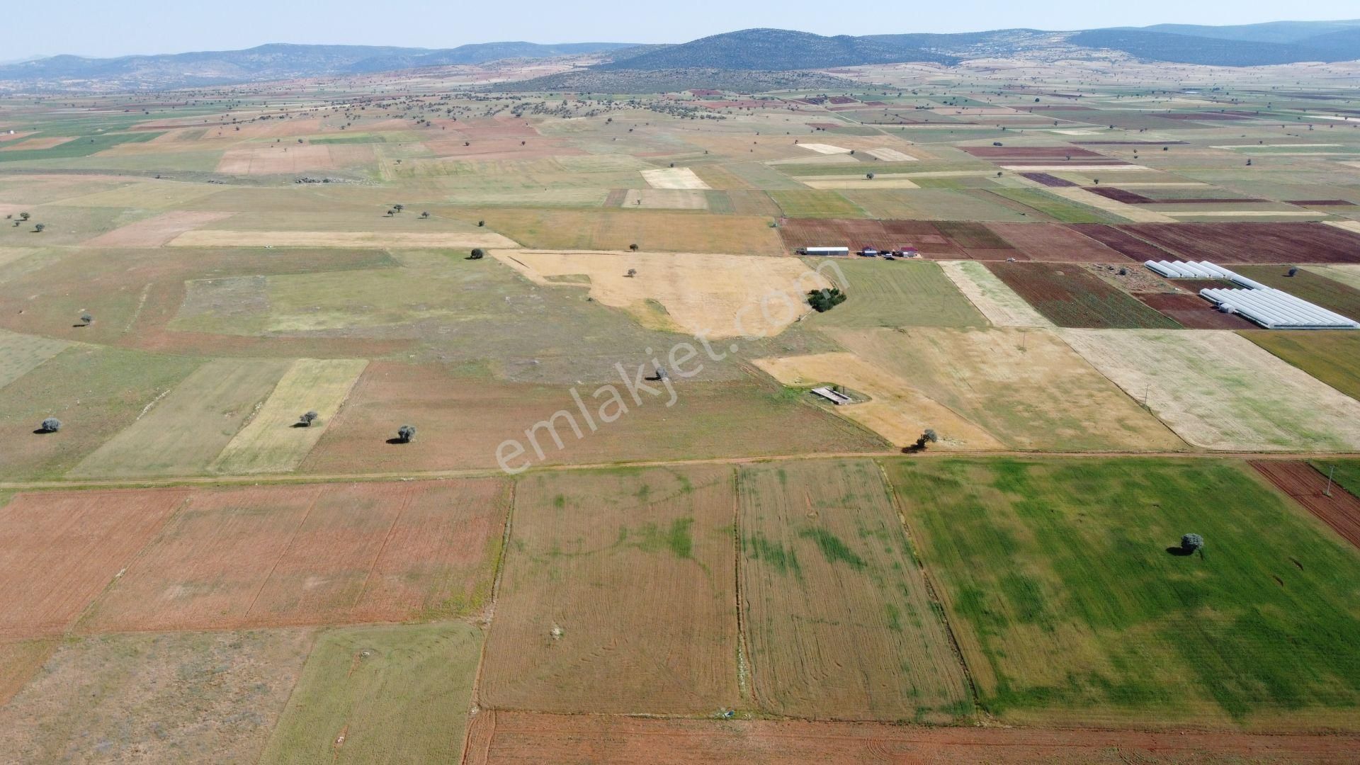 Konya / Akören / Hacılar Mahallesinde 5.402 M² Müstakil Tapulu Tarla - Görsel 7