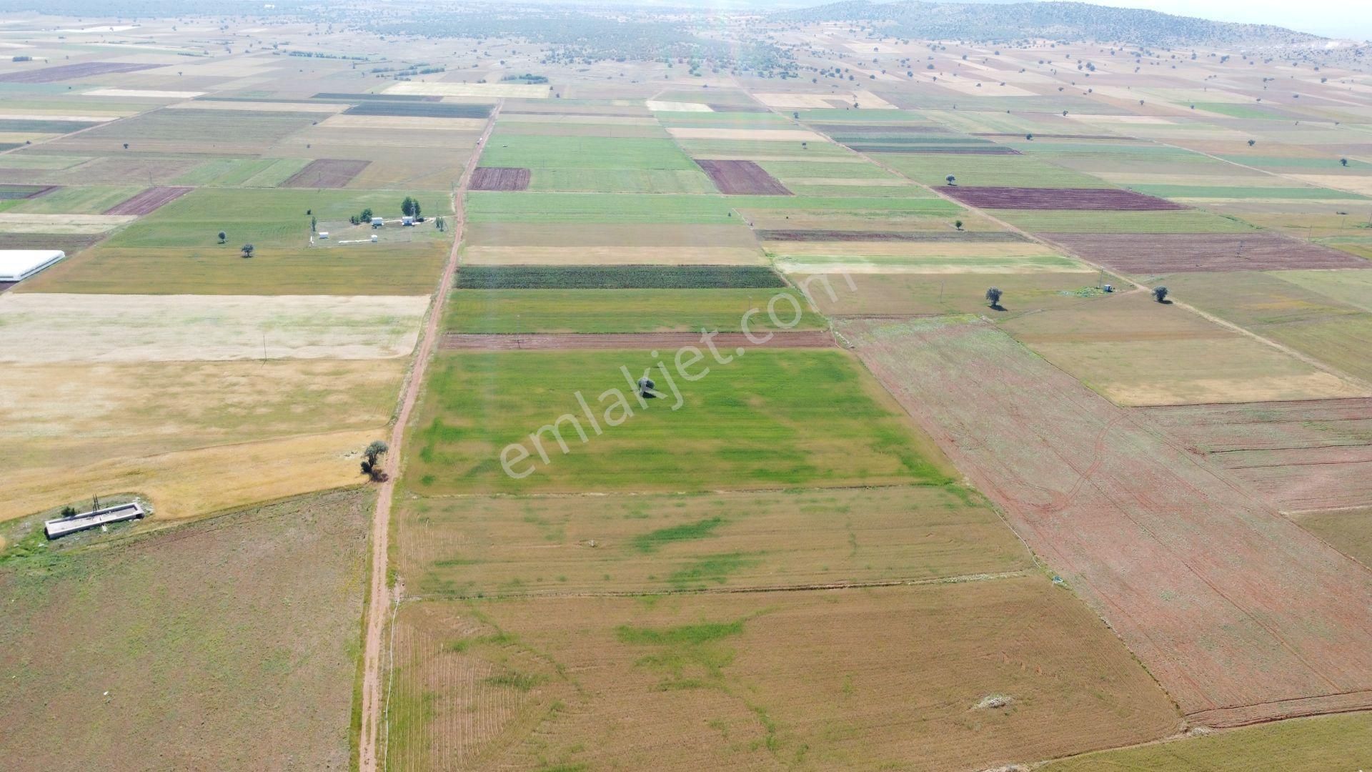 Konya / Akören / Hacılar Mahallesinde 5.402 M² Müstakil Tapulu Tarla - Görsel 6