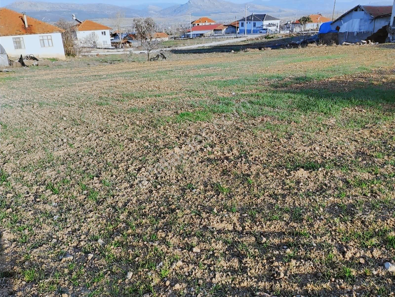 Korkuteli Yeşilyaylada Doğayla İç İçe İmarlı Arsa - Görsel 6