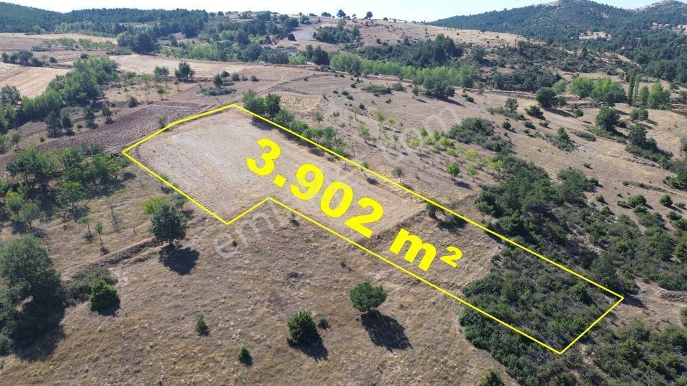 Konya / Doğanhisar / Kemer Mahallesinde 3.902 M² Müstakil Tapulu Tarla