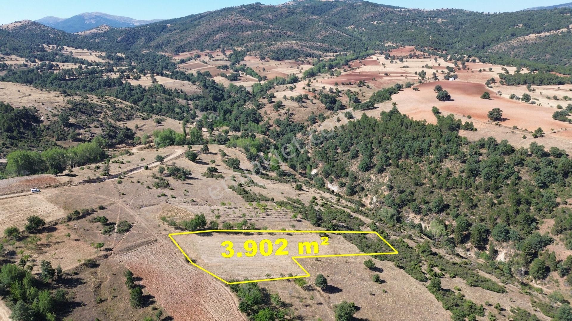 Konya / Doğanhisar / Kemer Mahallesinde 3.902 M² Müstakil Tapulu Tarla - Görsel 7