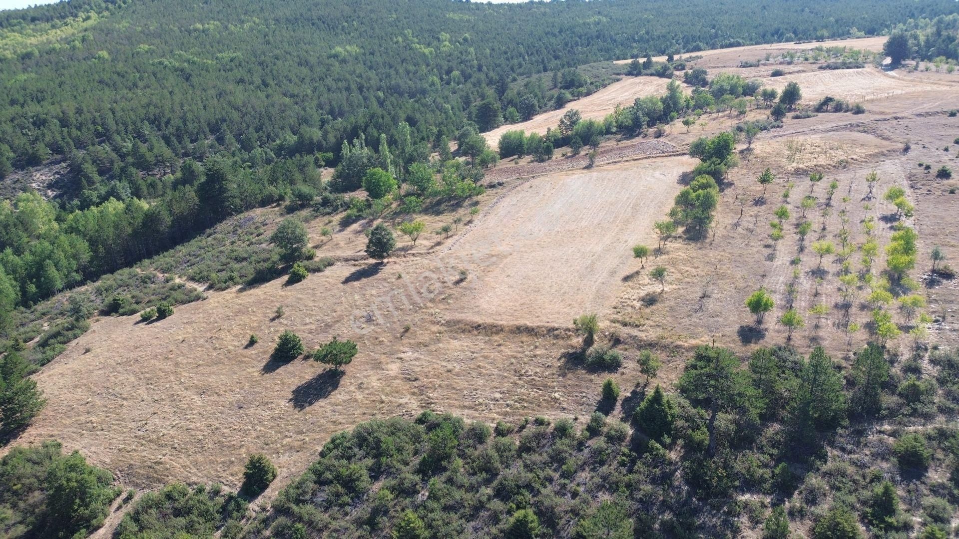 Konya / Doğanhisar / Kemer Mahallesinde 3.902 M² Müstakil Tapulu Tarla - Görsel 3