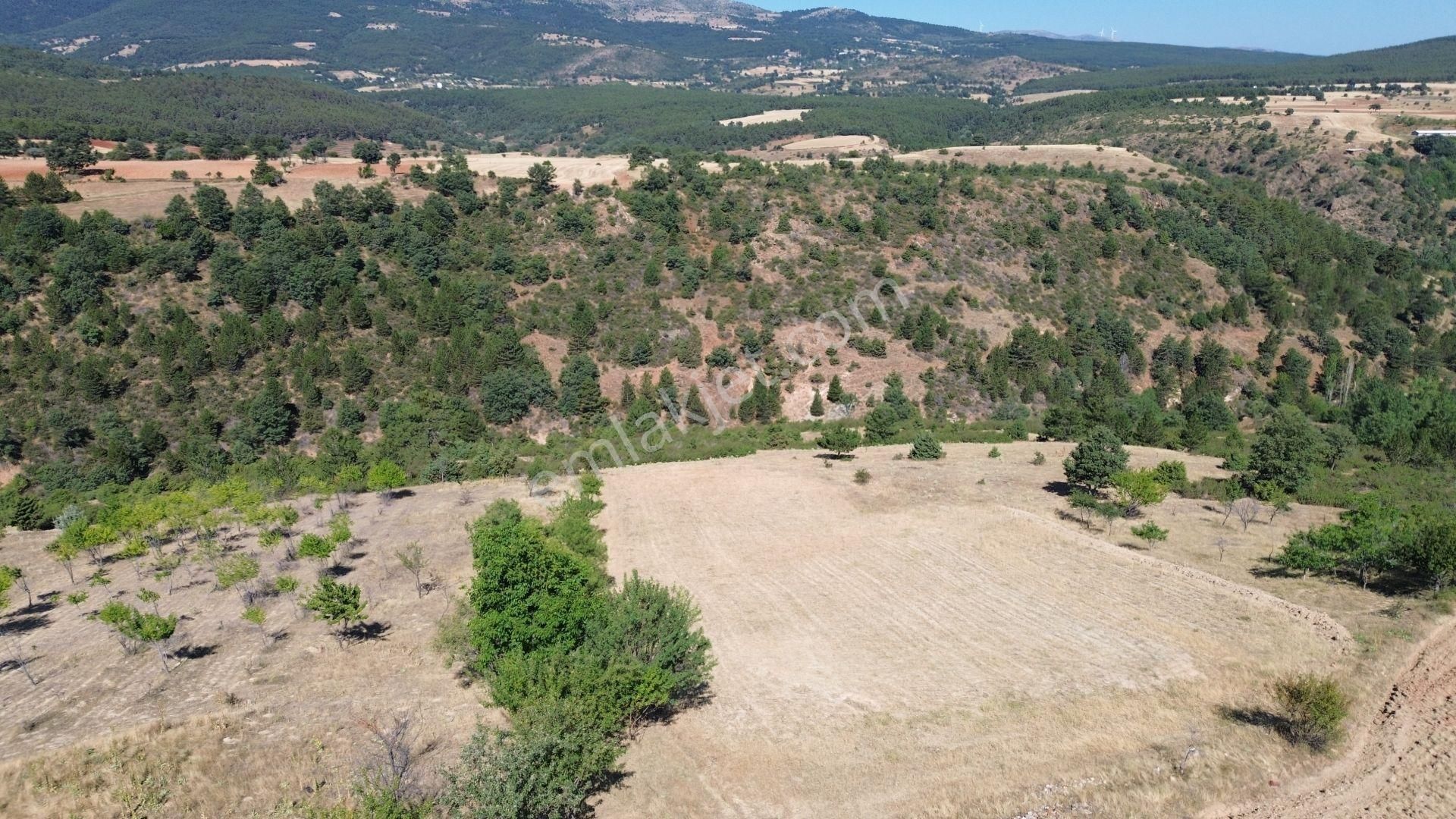 Konya / Doğanhisar / Kemer Mahallesinde 3.902 M² Müstakil Tapulu Tarla - Görsel 6