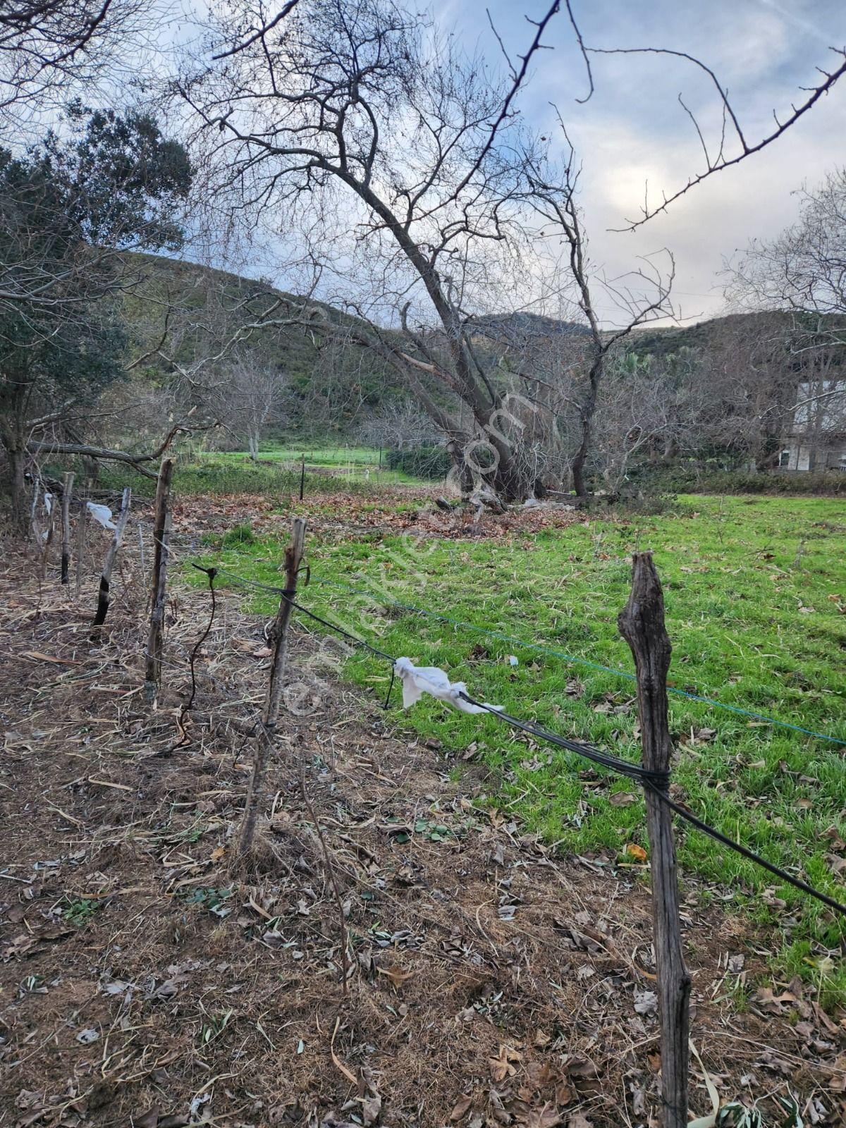 Erdek Karşıyaka Dalyan Mevkisinde 900 M2 Satılık Arsa - Görsel 2