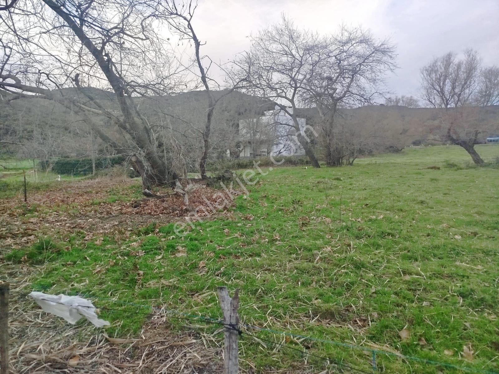 Erdek Karşıyaka Dalyan Mevkisinde 900 M2 Satılık Arsa - Görsel 3