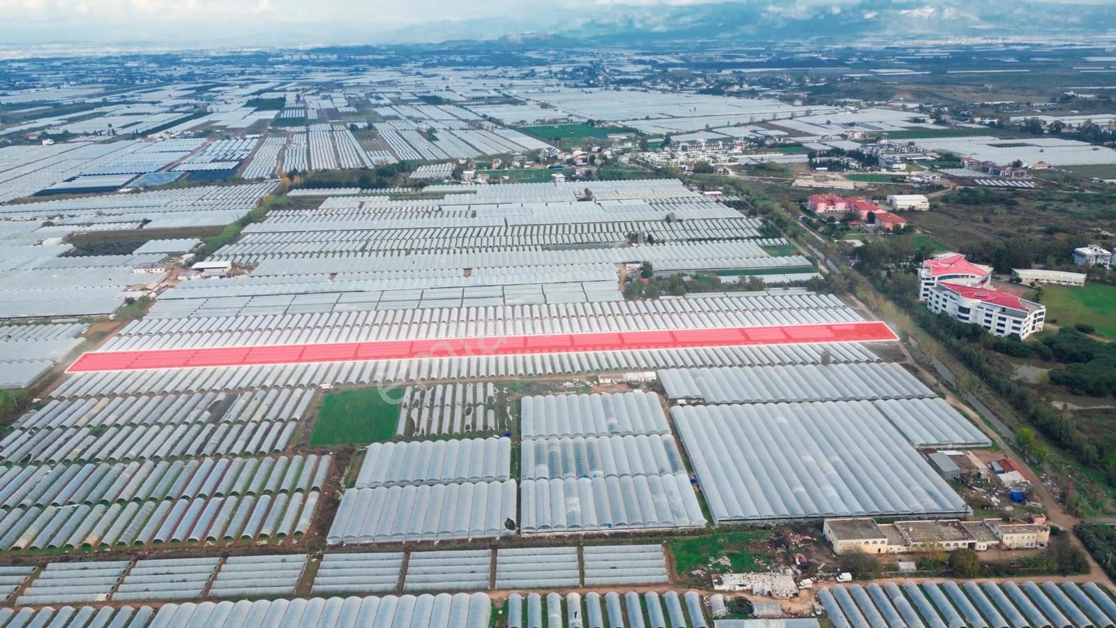 Belek Kadriye'de Yatırımlık Sera Alanı Satılık 10.796 M2 Tarla - Görsel 2