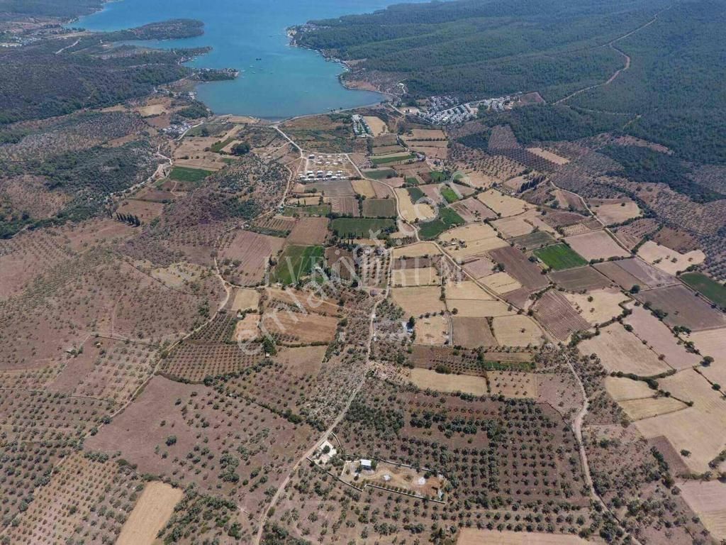 Egenin Saklı Cenneti Kazıklıda Cazip Fiyatlı İmarlı Arsa