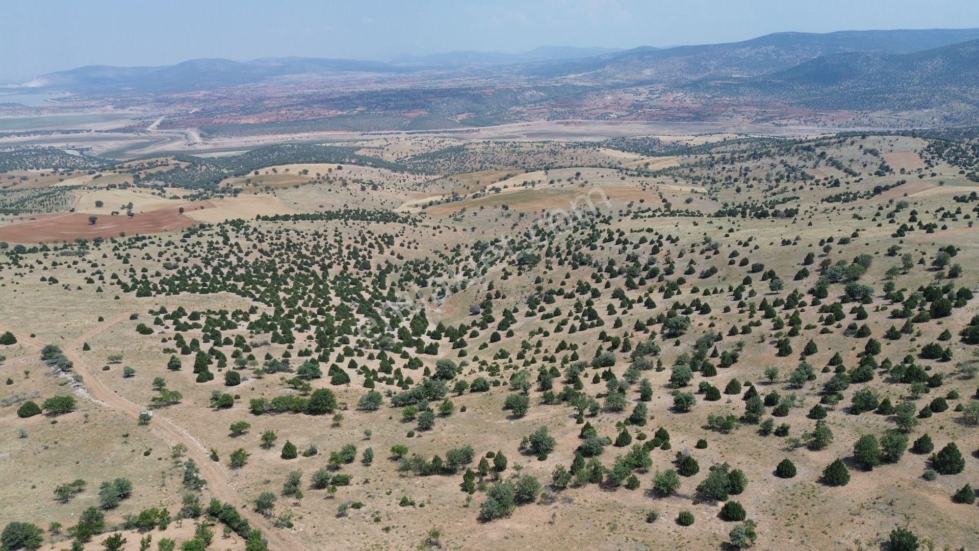 Konya / Akören / Alan Mahallesinde 7.491 M² Müstakil Tapulu Tarla - Görsel 4