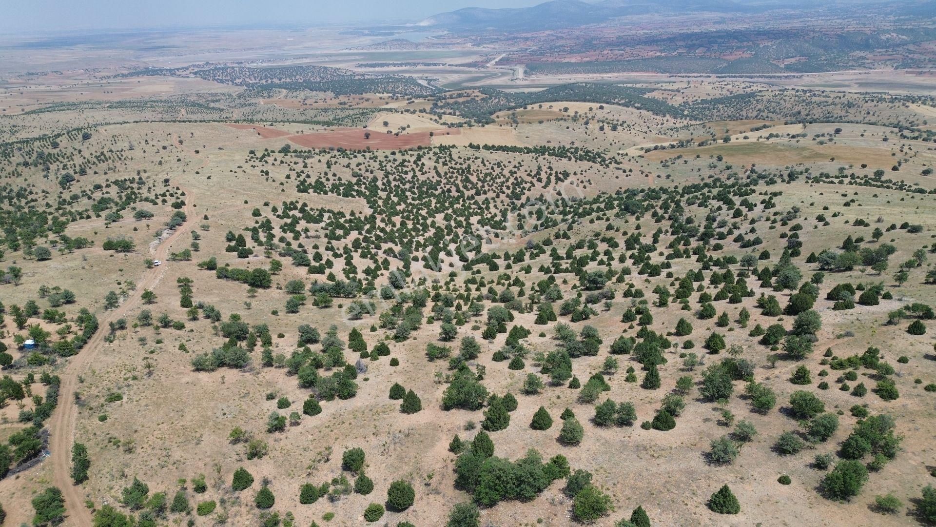 Konya / Akören / Alan Mahallesinde 7.491 M² Müstakil Tapulu Tarla - Görsel 2