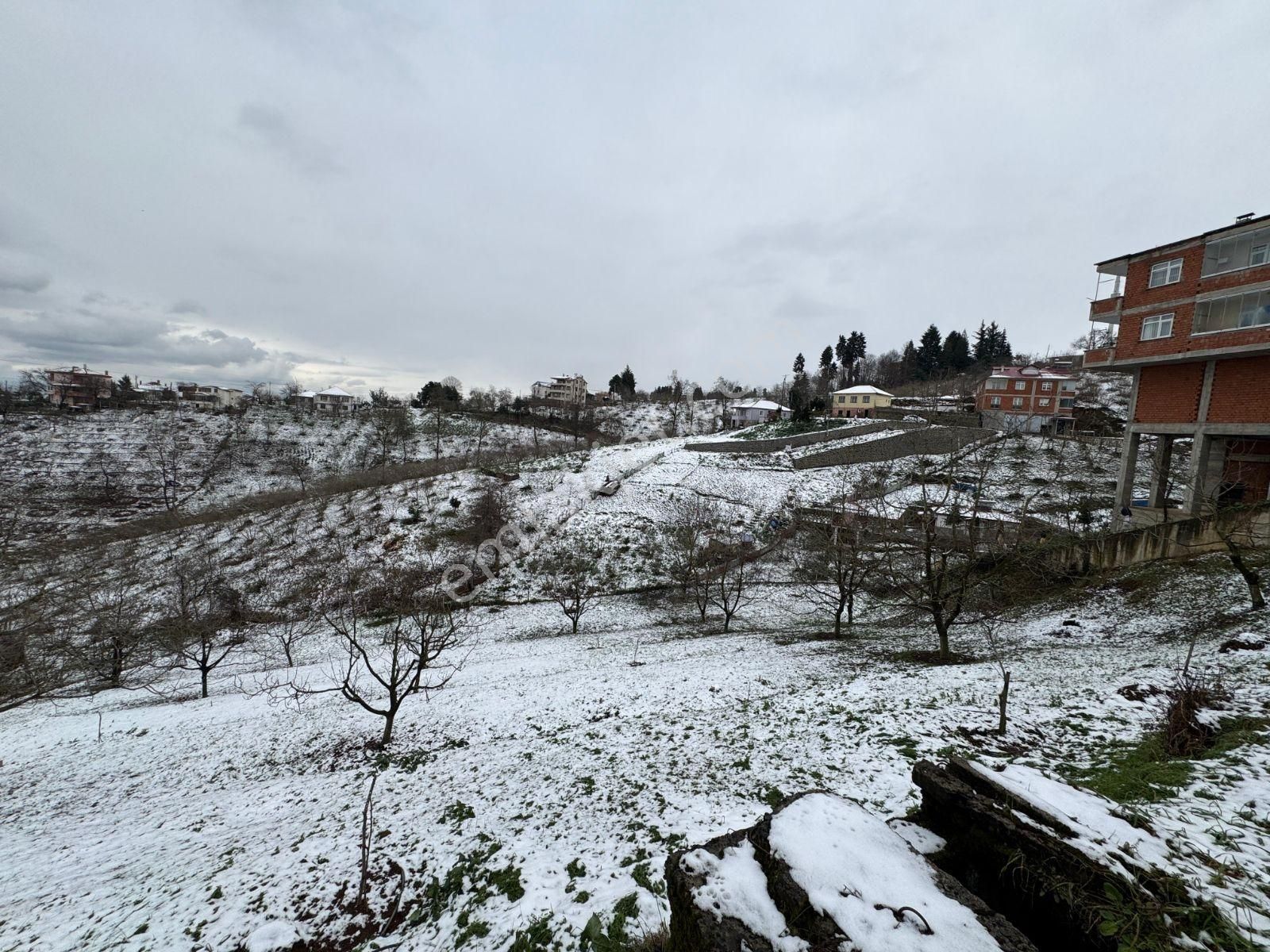 Çilekli Mahallesinde Yatırımlık 2 Dönüm Arsa - Görsel 3