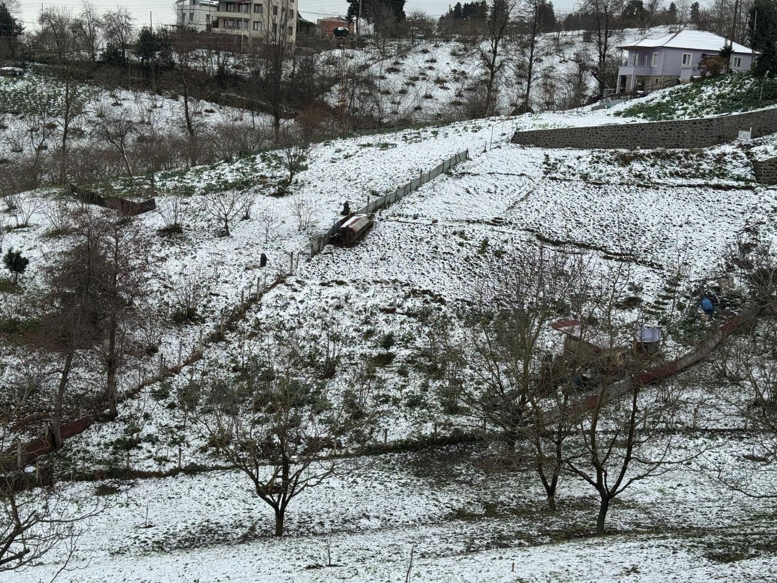 Çilekli Mahallesinde Yatırımlık 2 Dönüm Arsa - Görsel 2