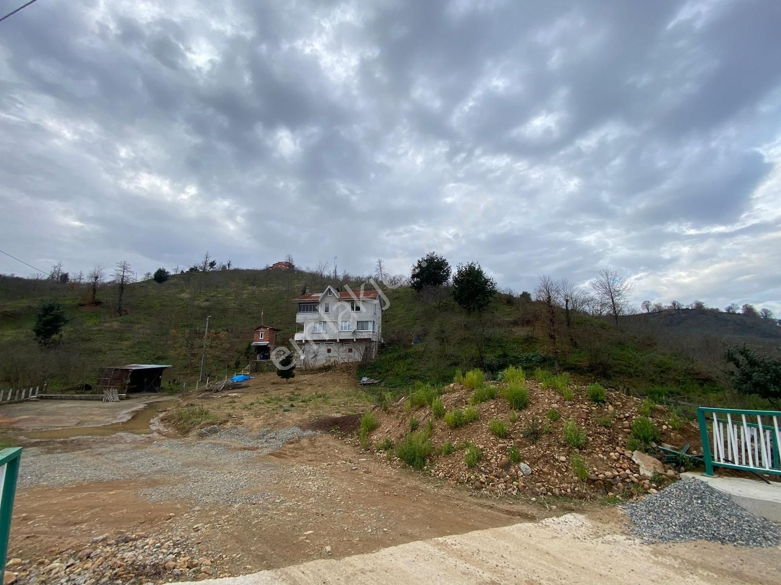 Aydın Emlak Şemsettinde Toplam 19.350m² Müstakil Arazi - Görsel 9