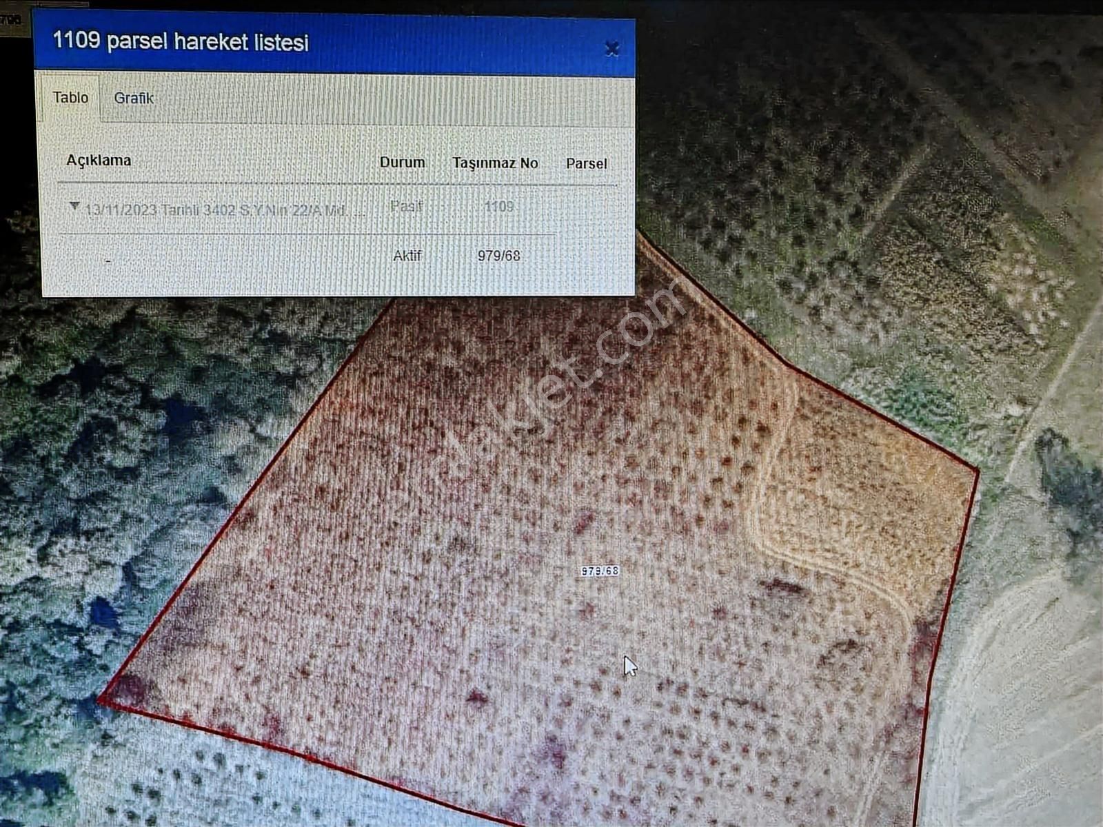 Sakarya Kaynarca Turnalı Mh.1000m2 Satılık Fındık Bahçesi - Görsel 4