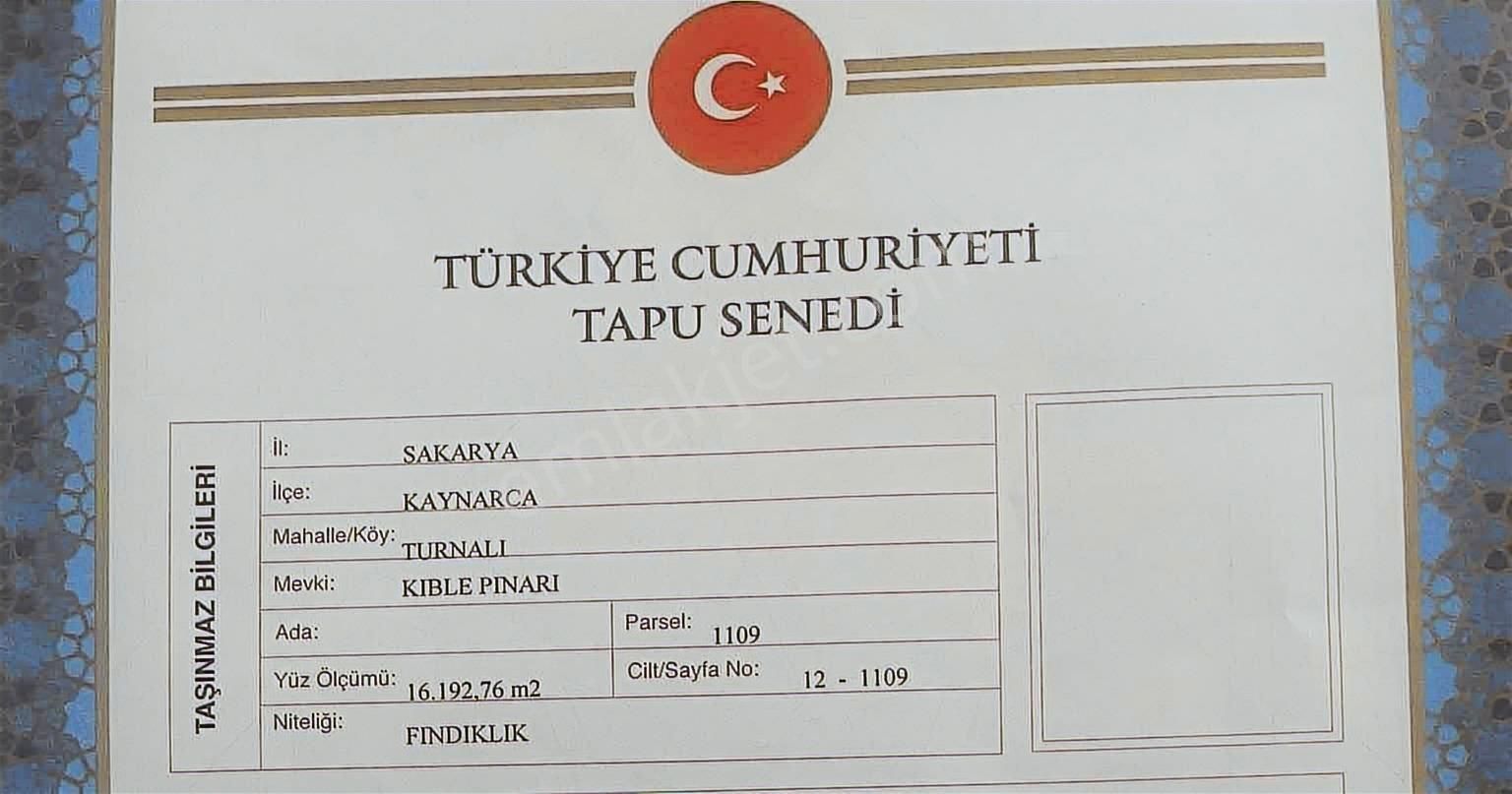 Sakarya Kaynarca Turnalı Mh.1000m2 Satılık Fındık Bahçesi - Görsel 5