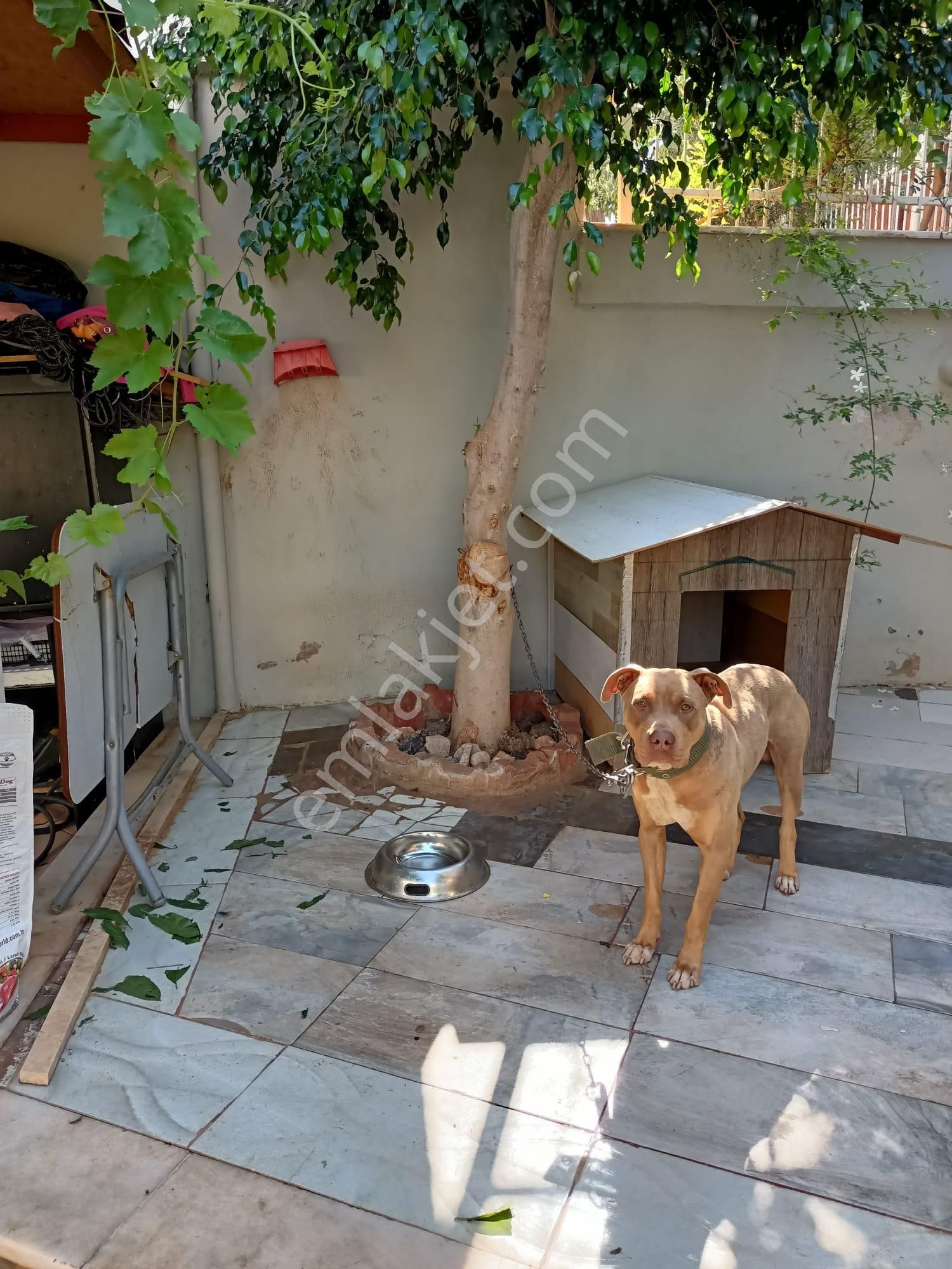 Konyaaltı Pınarbaşı'nda Satılık Bahçe Dubleksi 3+1