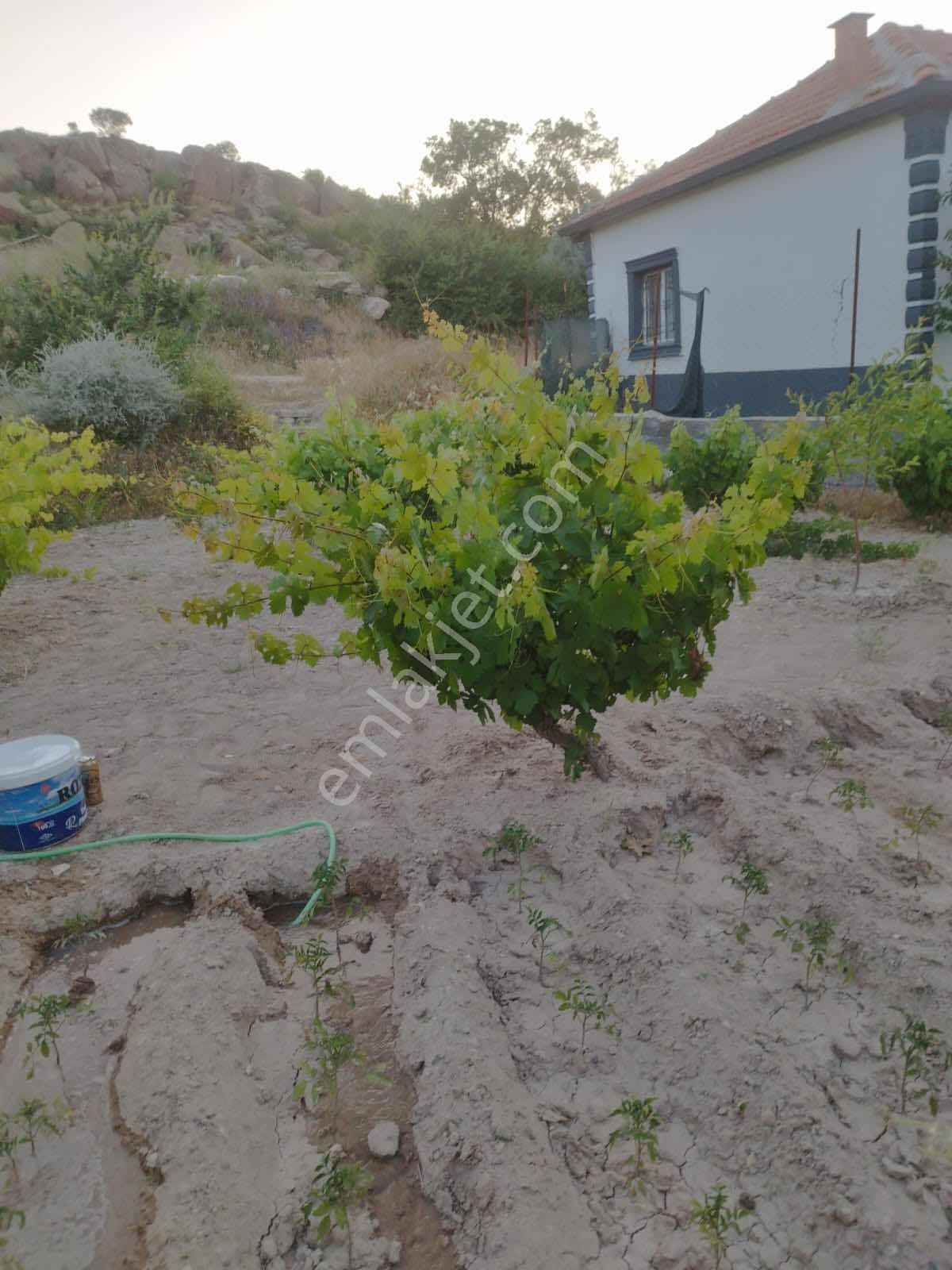 Wave Gayrimenkulden Evli Bag 360 M2 - Görsel 11