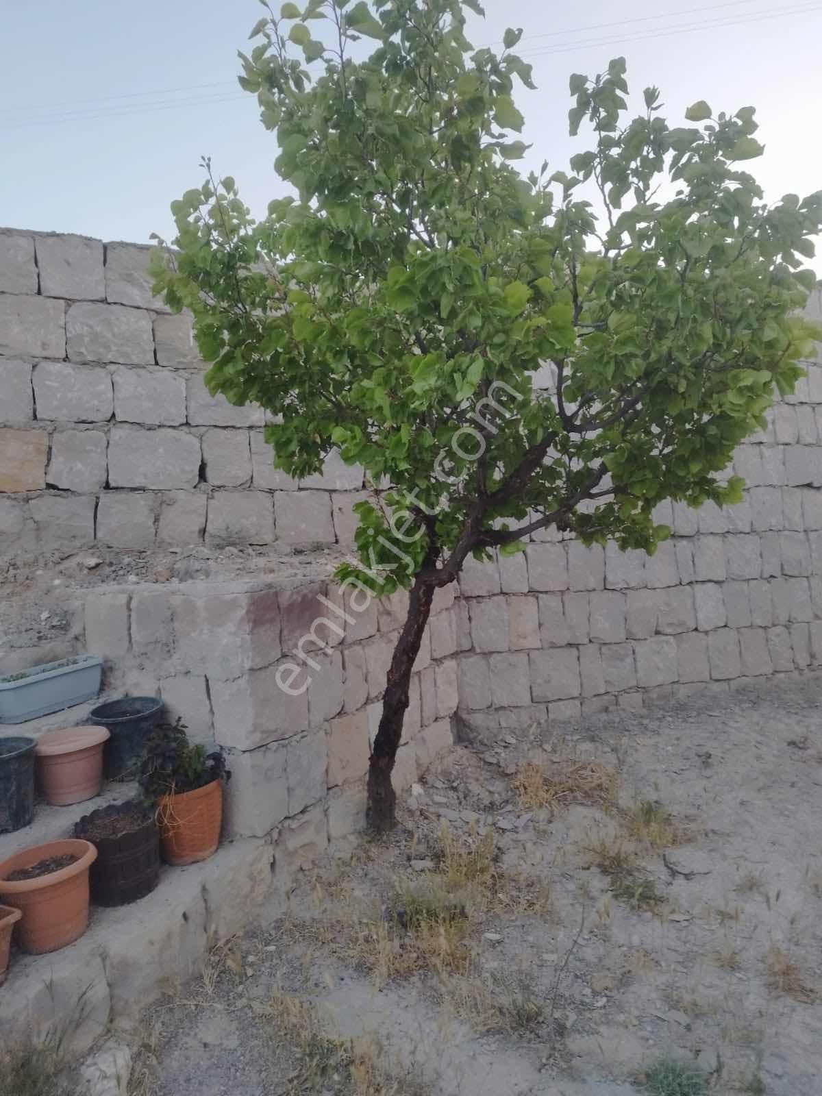 Wave Gayrimenkulden Evli Bag 360 M2 - Görsel 23