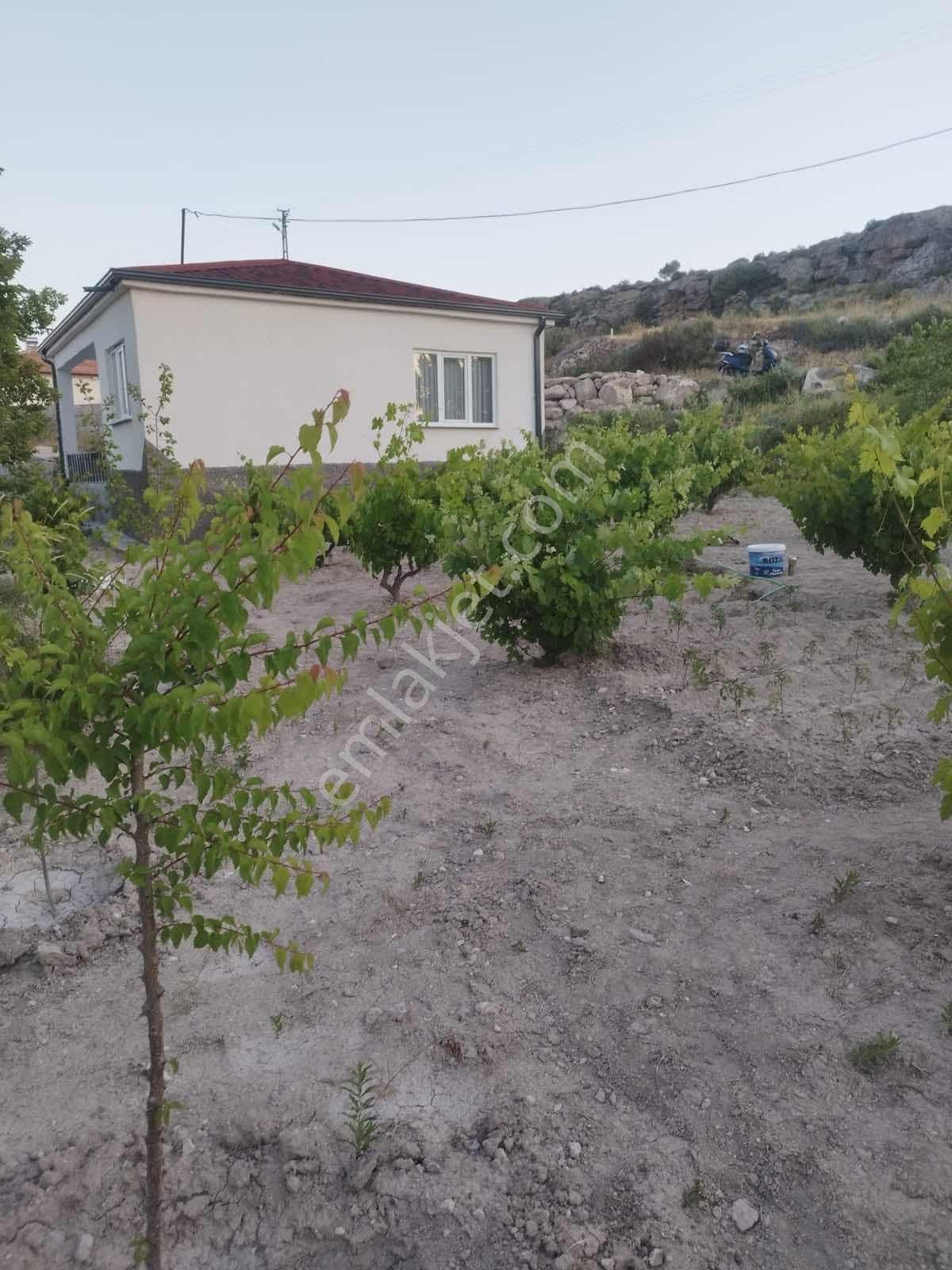 Wave Gayrimenkulden Evli Bag 360 M2