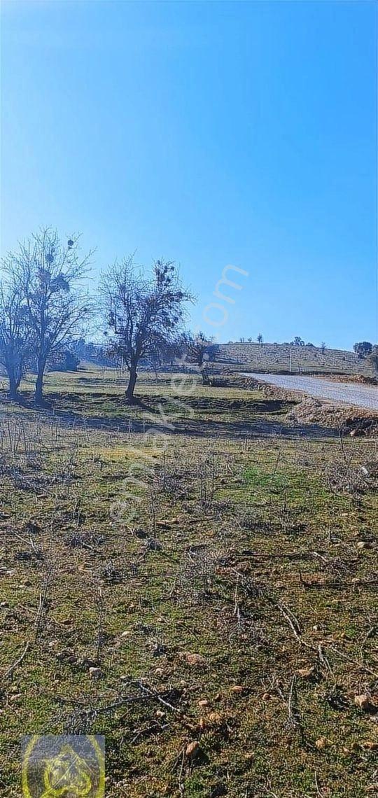 Göveçlikte Geleceğe Yatırımlık 600m2 Kaçırılmayacak Satılık Arsa - Görsel 28