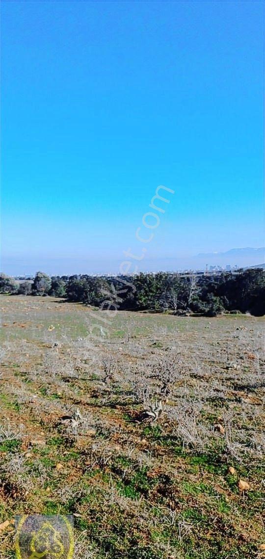 Göveçlikte Geleceğe Yatırımlık 600m2 Kaçırılmayacak Satılık Arsa - Görsel 15