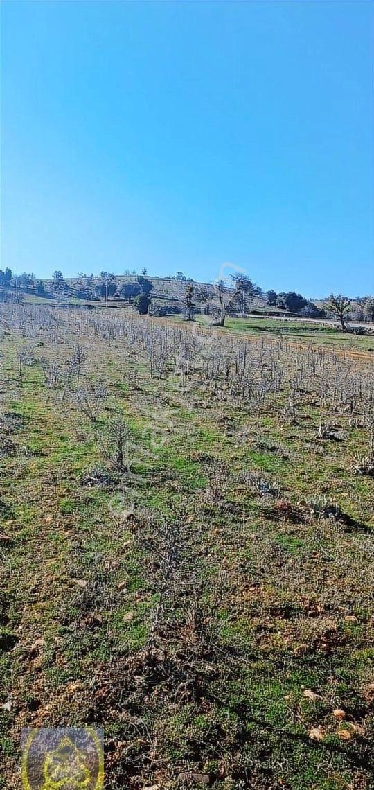 Göveçlikte Geleceğe Yatırımlık 600m2 Kaçırılmayacak Satılık Arsa - Görsel 24