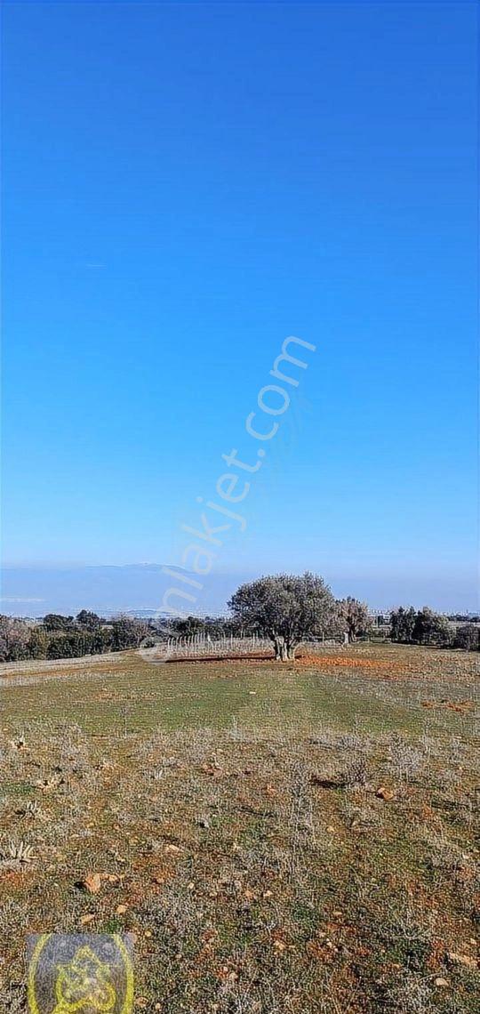 Göveçlikte Geleceğe Yatırımlık 600m2 Kaçırılmayacak Satılık Arsa - Görsel 23